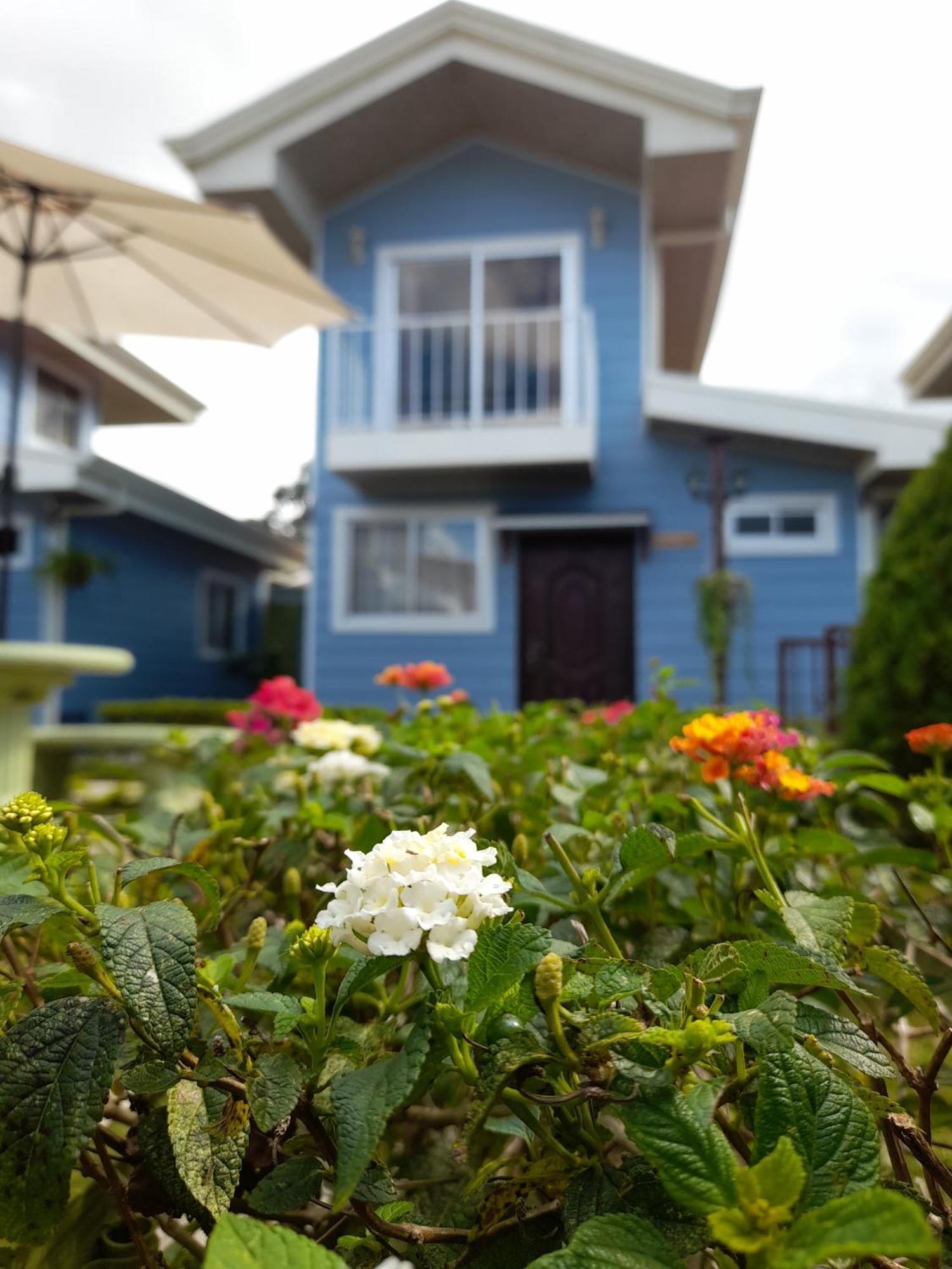 Villas Orosi Valley Lodge Exterior photo